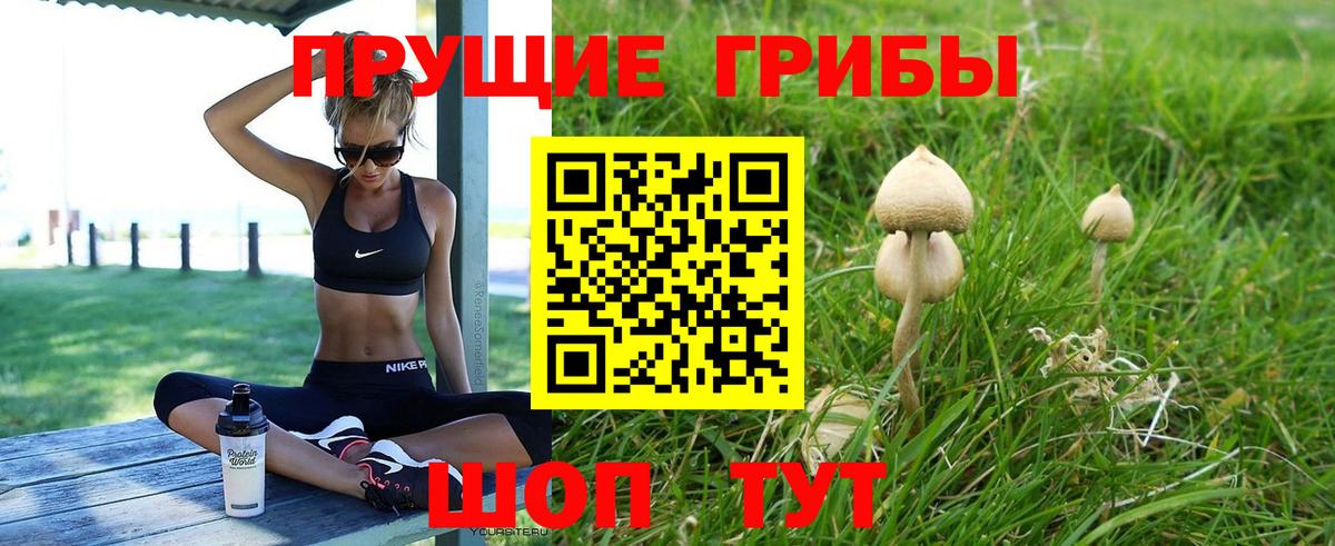Псилоцибиновые грибы мицелий  Вход с VPN  Нарьян-Мар 
